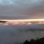 Vincdebosc Muntanyes de Prades