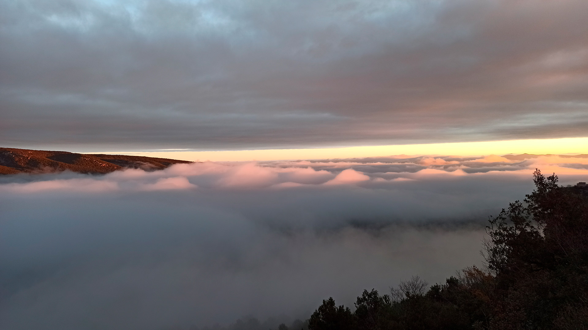 Vincdebosc Muntanyes de Prades